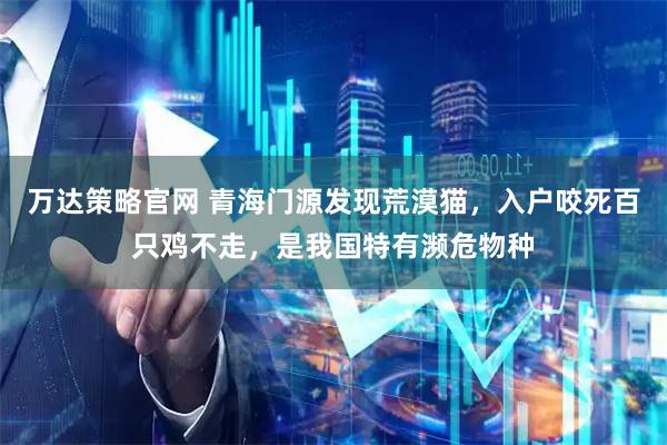 万达策略官网 青海门源发现荒漠猫，入户咬死百只鸡不走，是我国特有濒危物种