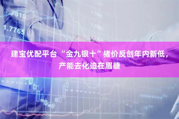 建宝优配平台 “金九银十”猪价反创年内新低，产能去化迫在眉睫