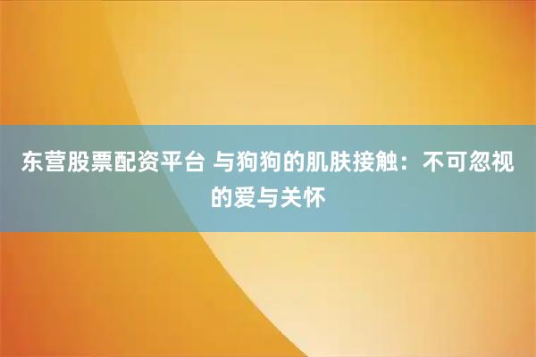 东营股票配资平台 与狗狗的肌肤接触：不可忽视的爱与关怀