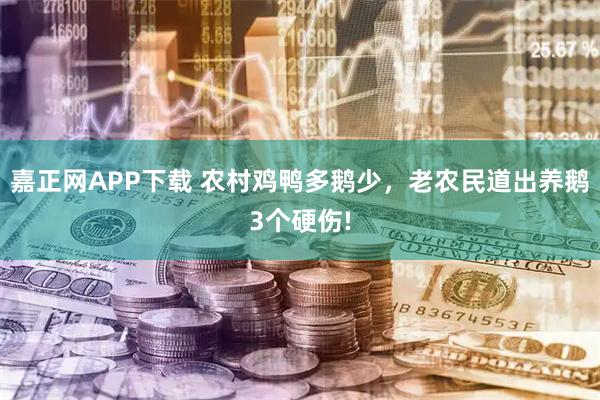 嘉正网APP下载 农村鸡鸭多鹅少，老农民道出养鹅3个硬伤!