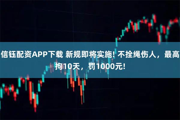 信钰配资APP下载 新规即将实施! 不拴绳伤人，最高拘10天，罚1000元!
