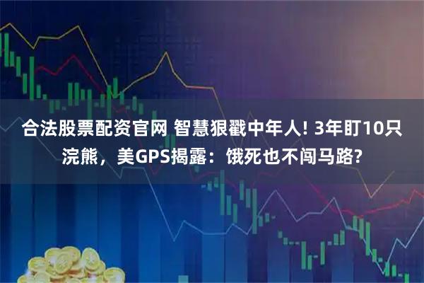 合法股票配资官网 智慧狠戳中年人! 3年盯10只浣熊，美GPS揭露：饿死也不闯马路?