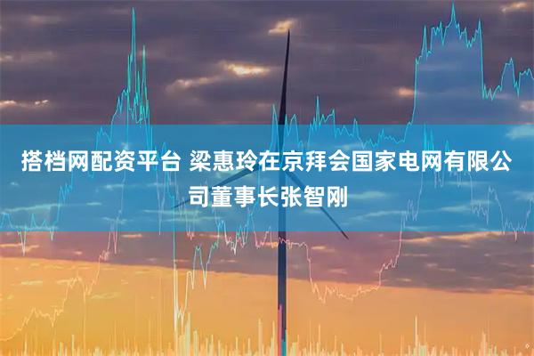 搭档网配资平台 梁惠玲在京拜会国家电网有限公司董事长张智刚