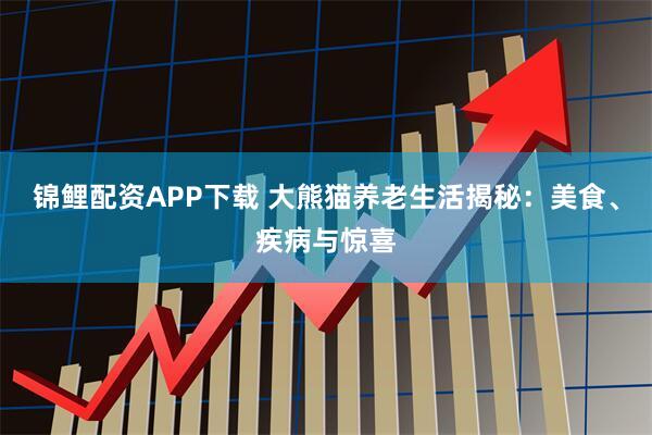 锦鲤配资APP下载 大熊猫养老生活揭秘：美食、疾病与惊喜