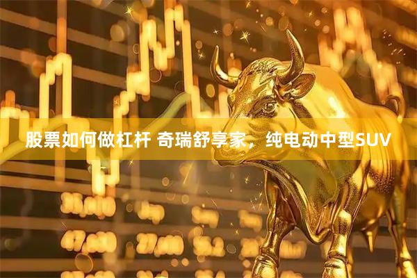股票如何做杠杆 奇瑞舒享家，纯电动中型SUV
