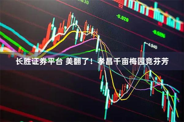长胜证券平台 美翻了！孝昌千亩梅园竞芬芳