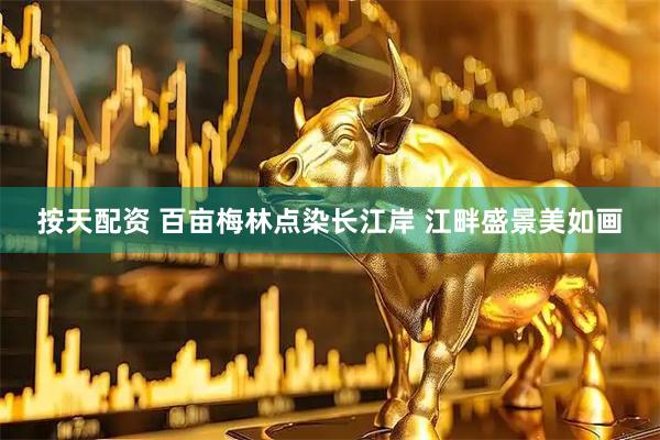 按天配资 百亩梅林点染长江岸 江畔盛景美如画